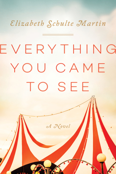 Cover image for book Everything You Came to See