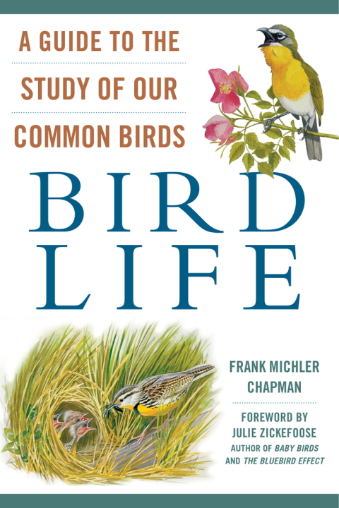 Cover image for book Bird Life
