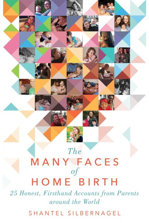 Cover image for book The Many Faces of Home Birth
