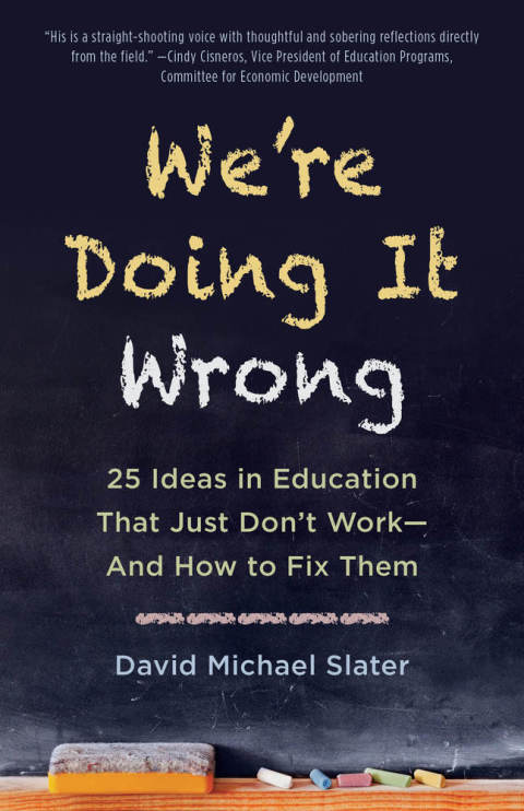 Cover image for book We're Doing It Wrong