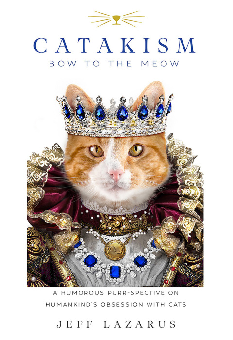 Cover image for book Catakism