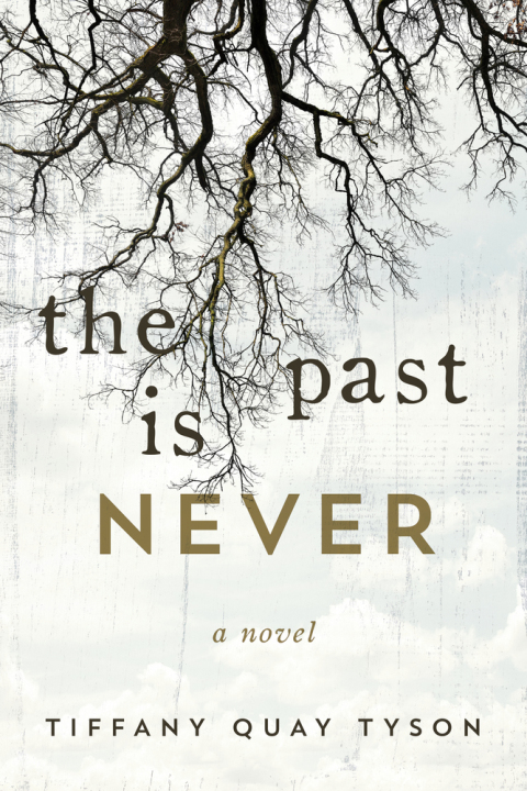 Cover image for book The Past Is Never