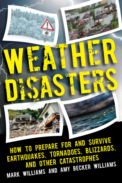 Cover image for book Weather Disasters