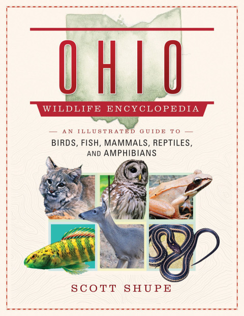 Cover image for book The Ohio Wildlife Encyclopedia