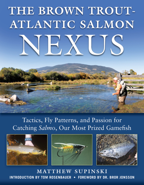 Cover image for book The Brown Trout-Atlantic Salmon Nexus