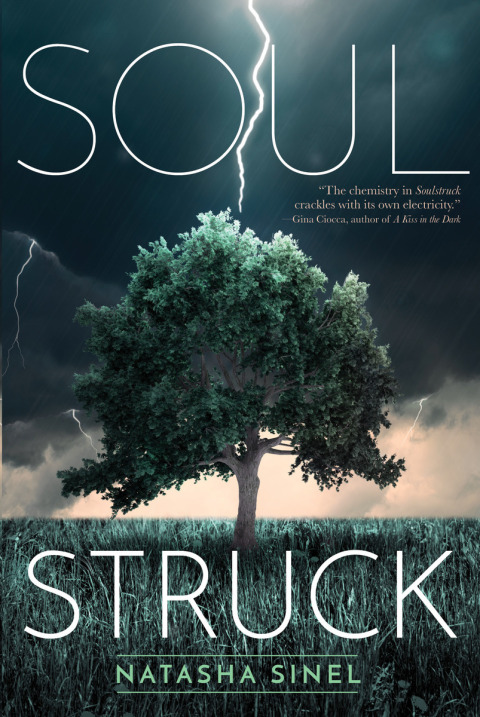 Cover image for book Soulstruck