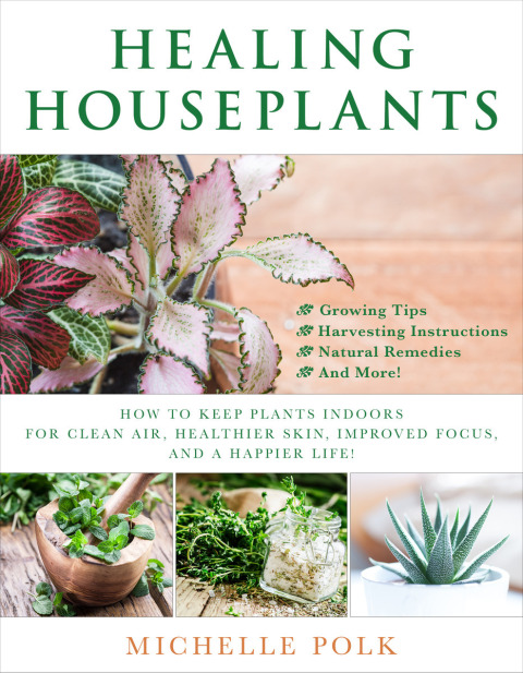 Cover image for book Healing Houseplants