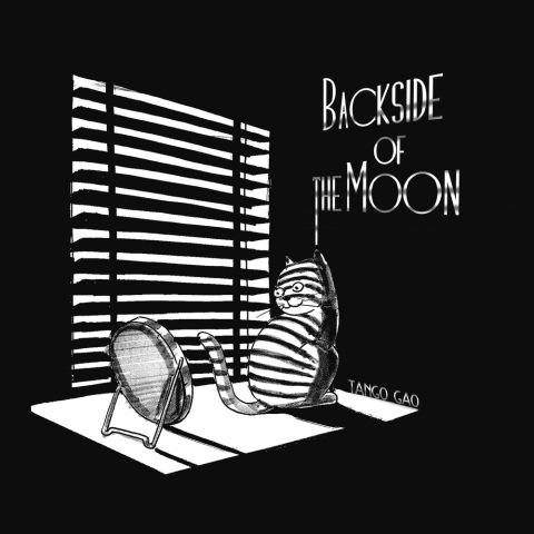 Cover image for book Backside of the Moon