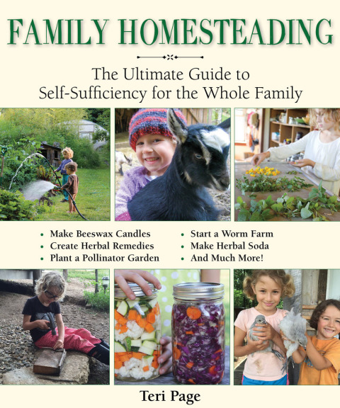 Cover image for book Family Homesteading