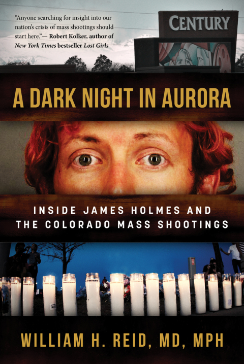 Cover image for book A Dark Night in Aurora