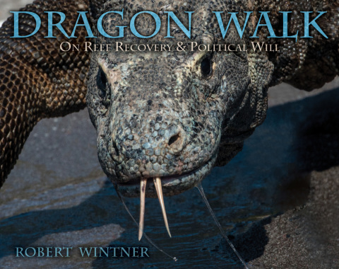 Cover image for book Dragon Walk