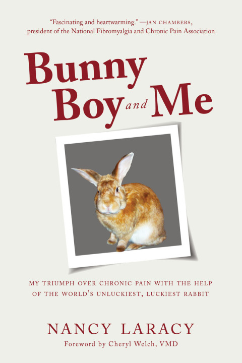 Cover image for book Bunny Boy and Me