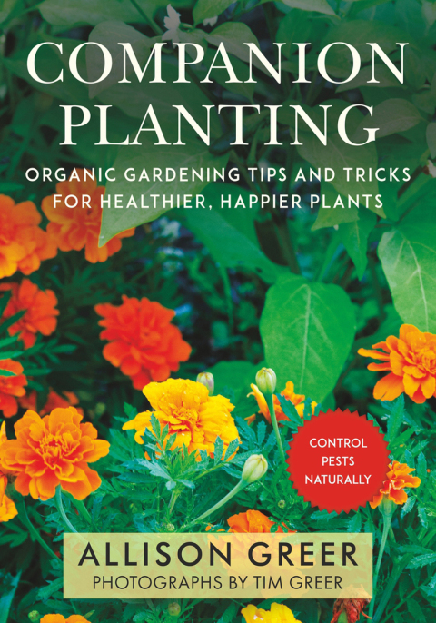 Cover image for book Companion Planting