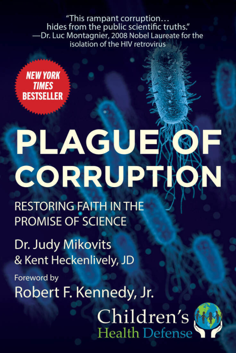 Cover image for book Plague of Corruption