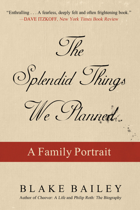 Cover image for book The Splendid Things We Planned