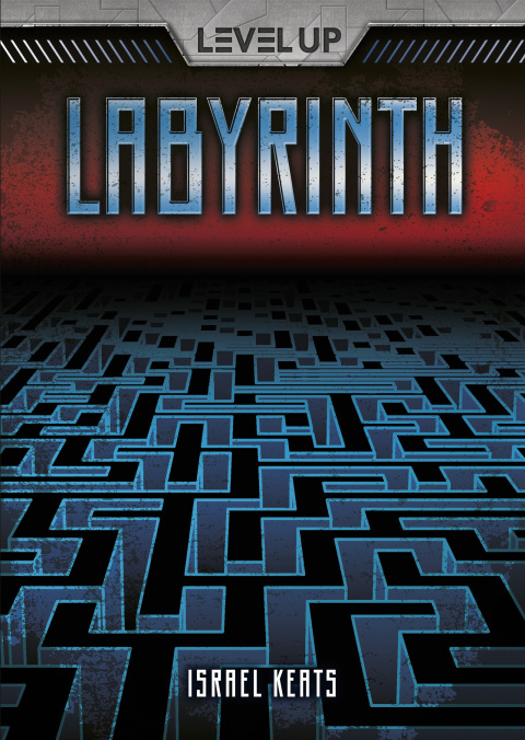 Cover image for book Labyrinth