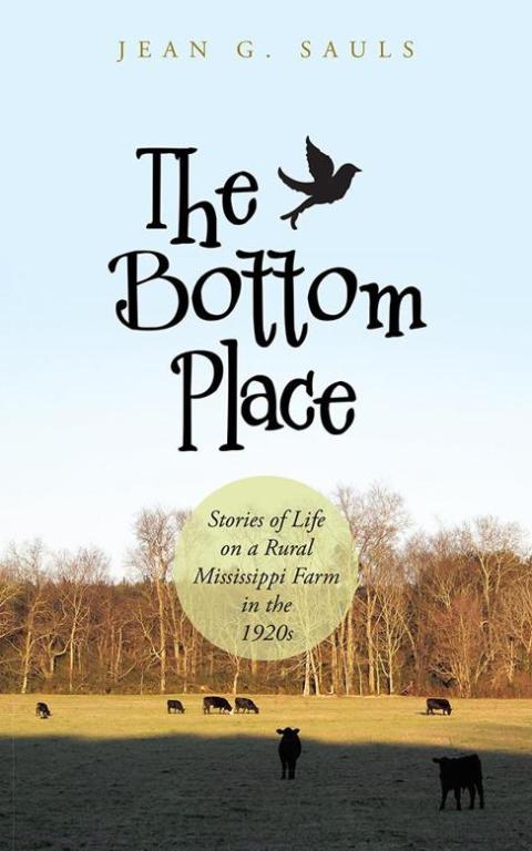 Cover image for book The Bottom Place