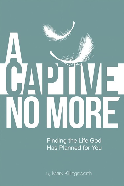 Cover image for book A Captive No More