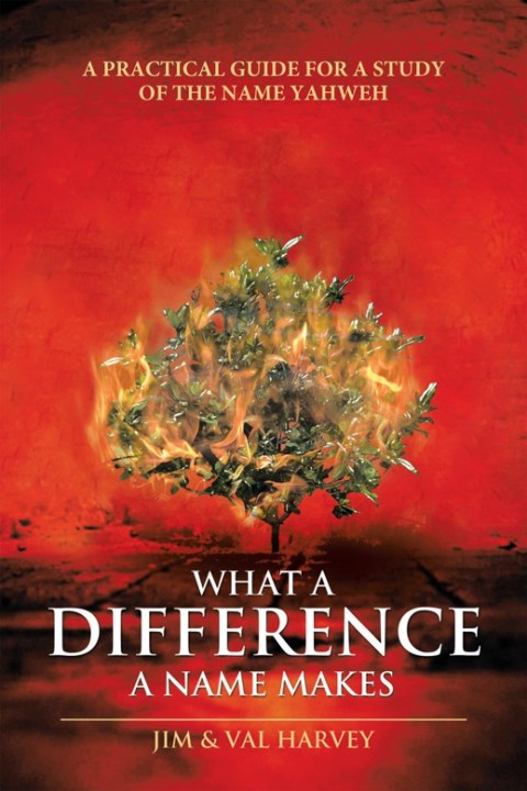 Cover image for book What a Difference a Name Makes