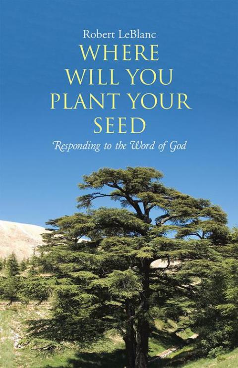 Cover image for book Where Will You Plant Your Seed