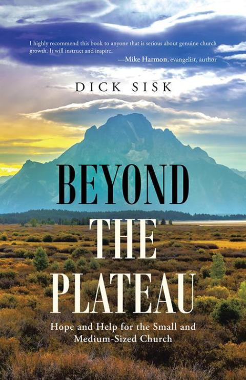 Cover image for book Beyond the Plateau
