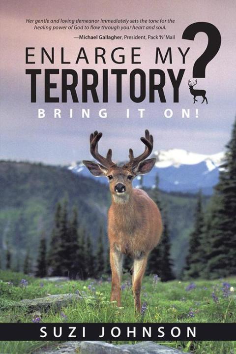 Cover image for book Enlarge My Territory?