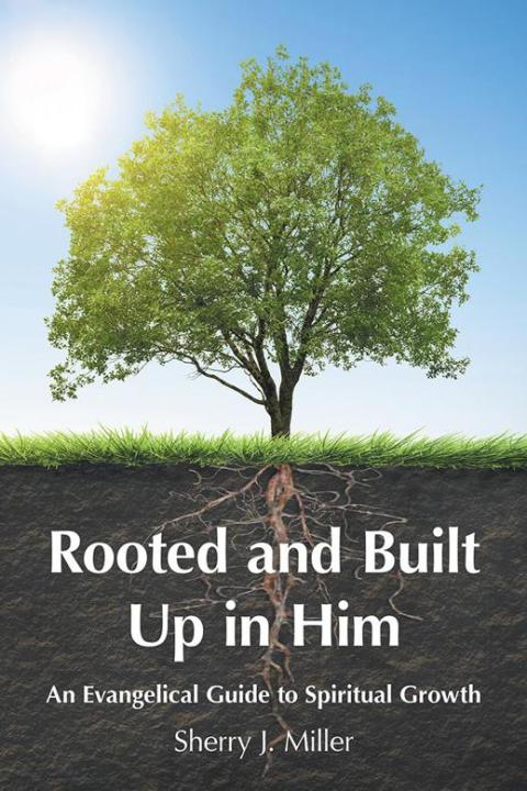 Cover image for book Rooted and Built up in Him