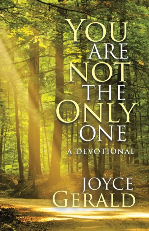 Cover image for book You Are Not the Only One