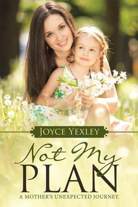 Cover image for book Not My Plan