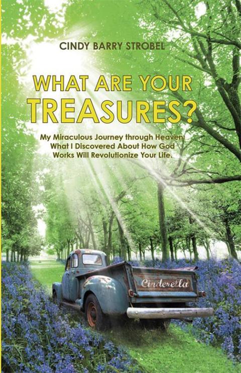 Cover image for book What Are Your Treasures?