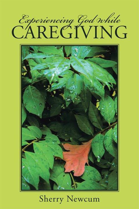 Cover image for book Experiencing God While Caregiving
