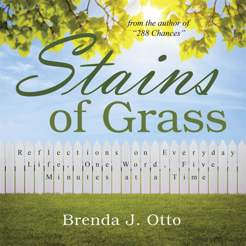 Cover image for book Stains of Grass