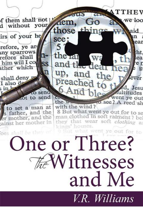 Cover image for book One or Three? the Witnesses and Me