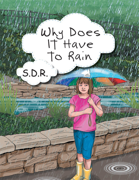 Cover image for book Why Does It Have to Rain