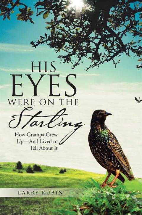 Cover image for book His Eyes Were on the Starling