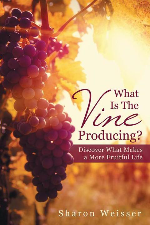Cover image for book What Is the Vine Producing?