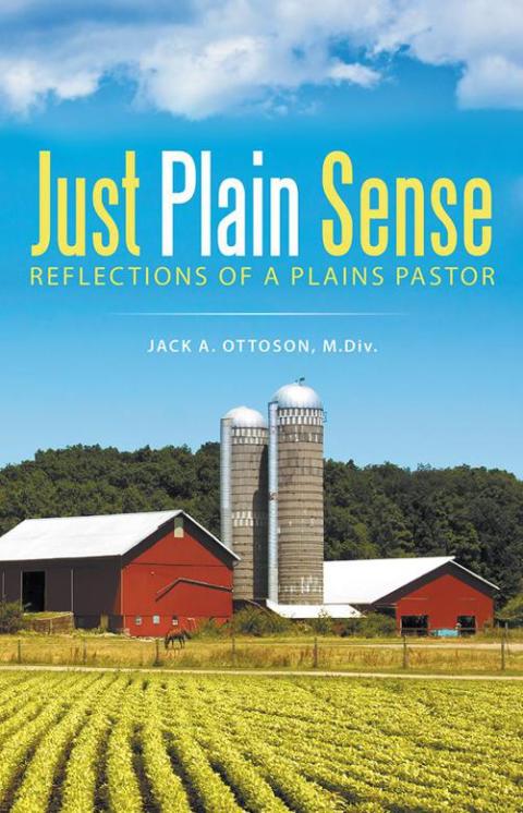 Cover image for book Just Plain Sense