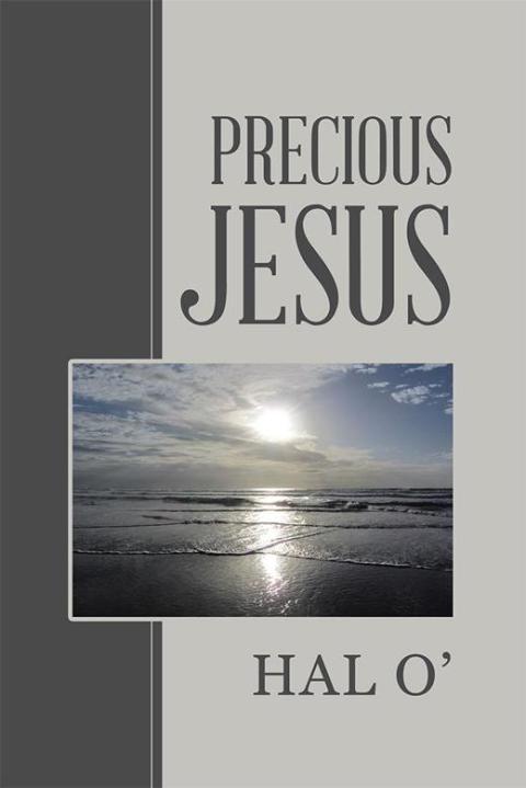 Cover image for book Precious Jesus
