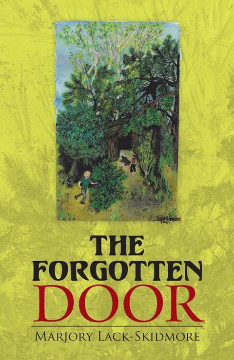 Cover image for book The Forgotten Door