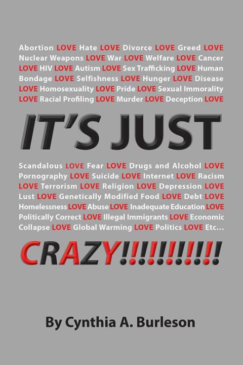 Cover image for book It's Just Crazy!