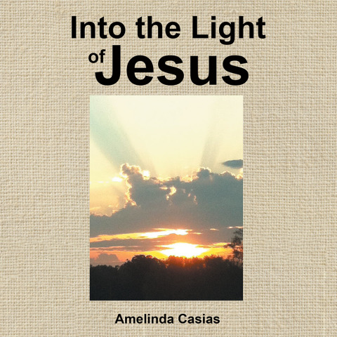 Cover image for book Into the Light of Jesus