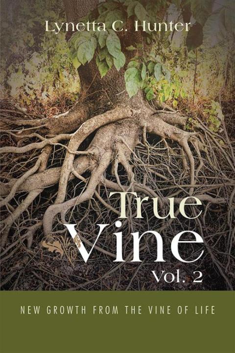 Cover image for book True Vine Vol. 2