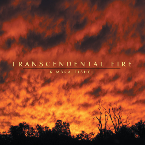 Cover image for book Transcendental Fire