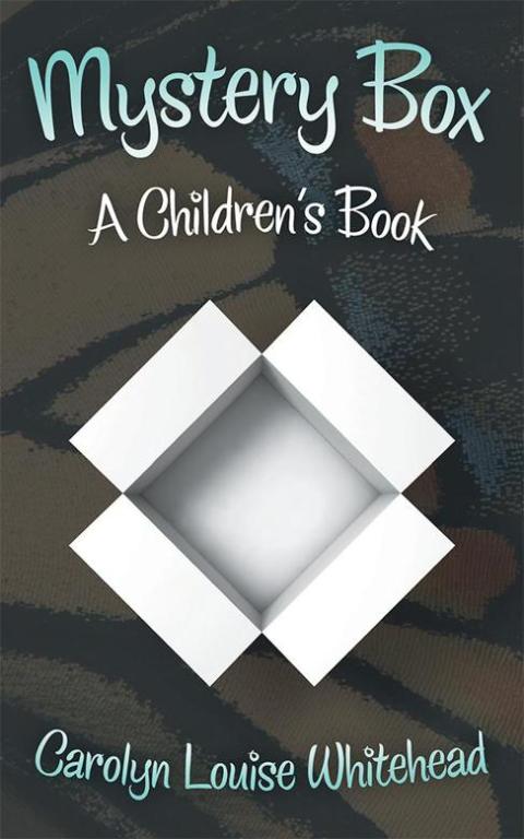 Cover image for book Mystery Box
