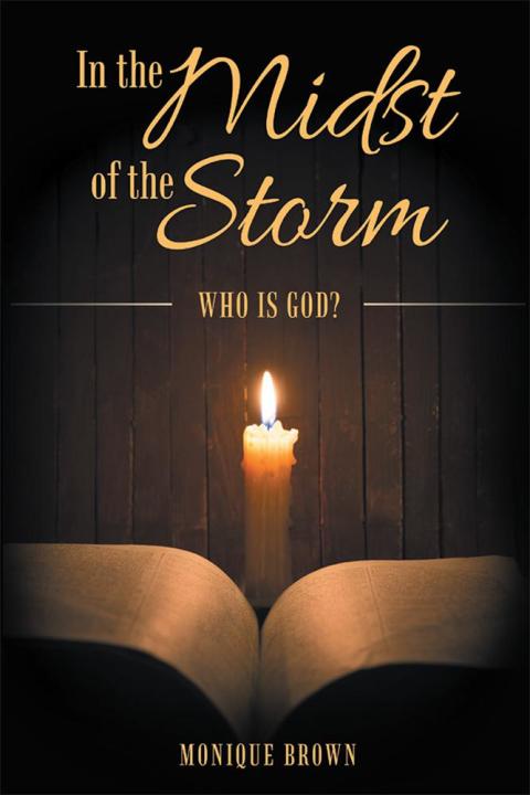 Cover image for book In the Midst of the Storm