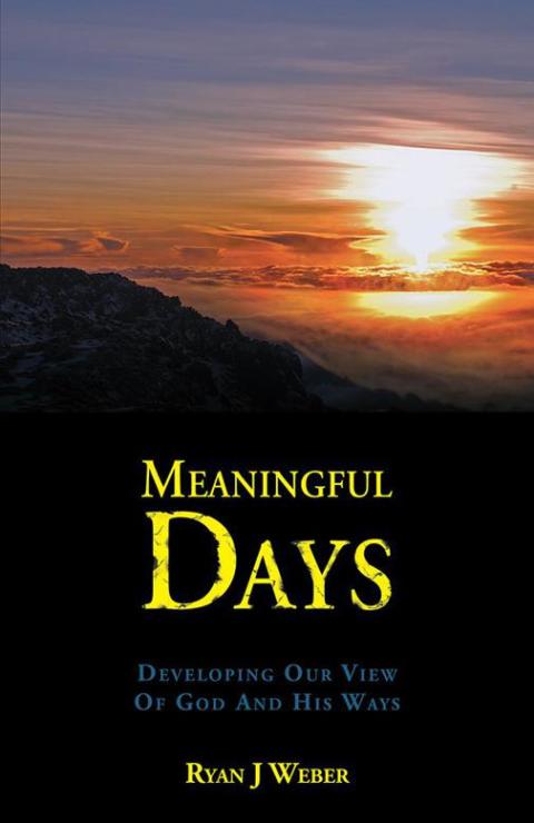Cover image for book Meaningful Days