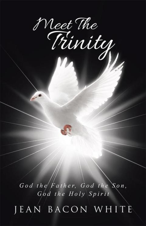 Cover image for book Meet the Trinity