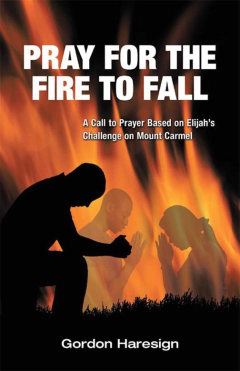 Cover image for book Pray for the Fire to Fall