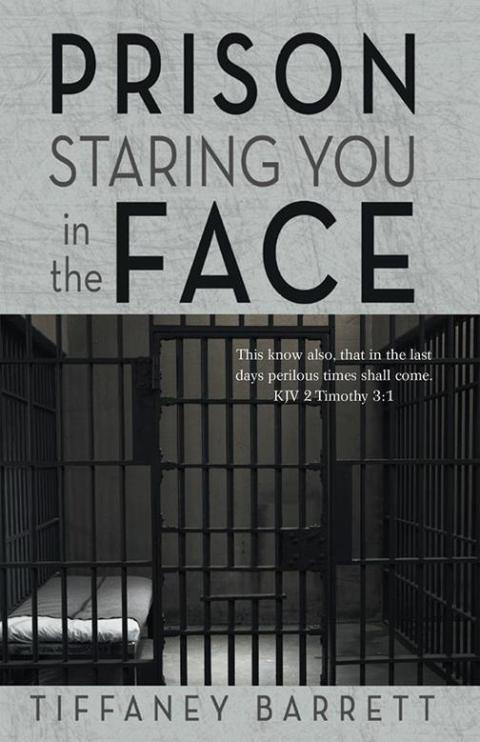 Cover image for book Prison Staring You in the Face