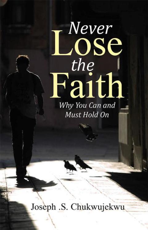 Cover image for book Never Lose the Faith